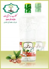 برگ گردو